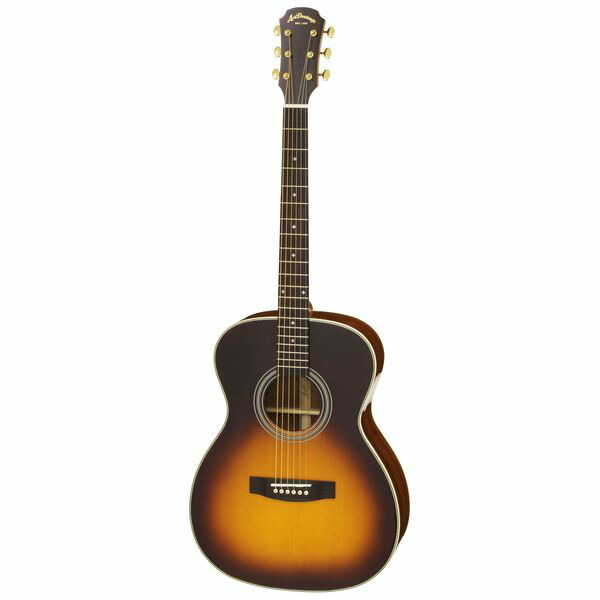 楽天市場】Aria ADL-935 -All Solid Body- 新品 オール単板