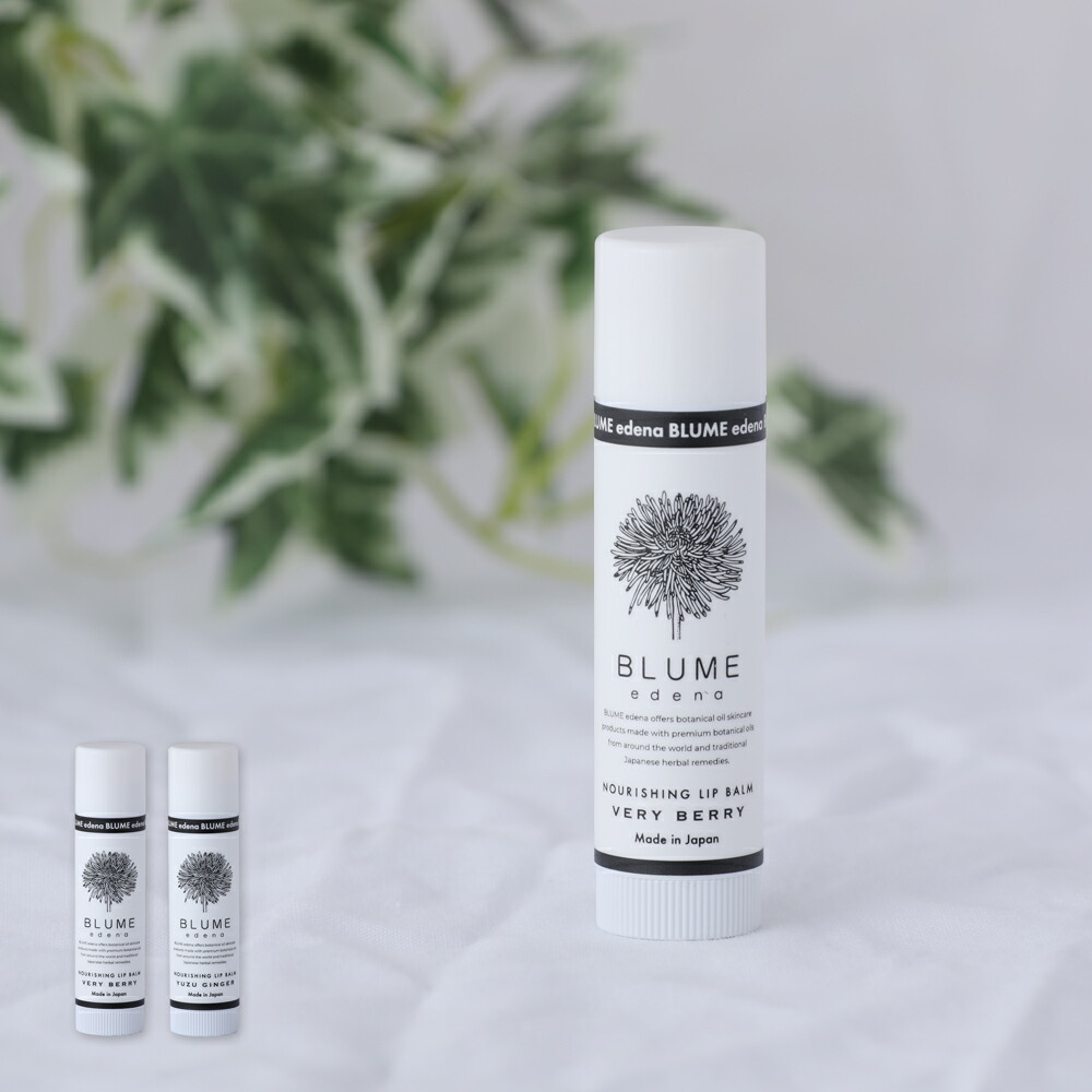 楽天市場】【最大12％OFFクーポン！】ドクターハウシュカ リップケア