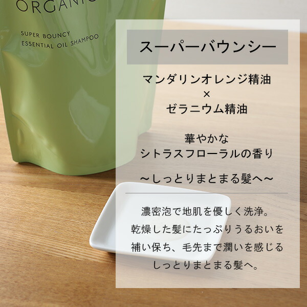 市場 24時間限定 最大15%OFFクーポン配布中 詰め替え2個セット スーパーシャンプー ORGANIC THE PUBLIC  パブリックオーガニック ザ