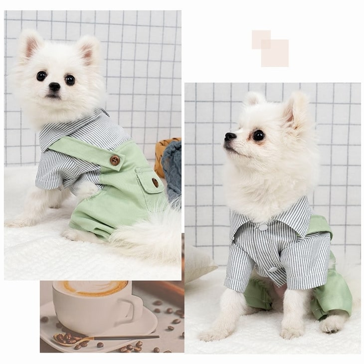 楽天市場 超可愛い 小型犬服 ペットウェア ワンちゃん服 つなぎ おしゃれ ドッグウエア かわいい 犬服 グリーン お散歩 犬 ペット ペット用品 サイズ豊富 Xs Xxl メール便ok A016 送料無料 エメリール