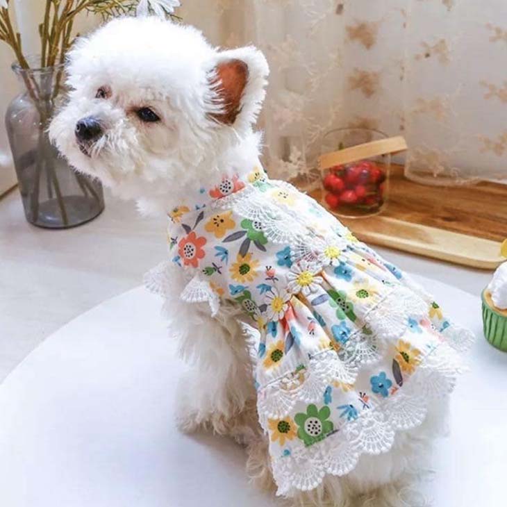 【楽天市場】犬 服 ワンピース お出かけ お散歩 かわいい ドッグウェア ペットウェア ワンちゃん服 前開き スナップボタン付き 着させやすい