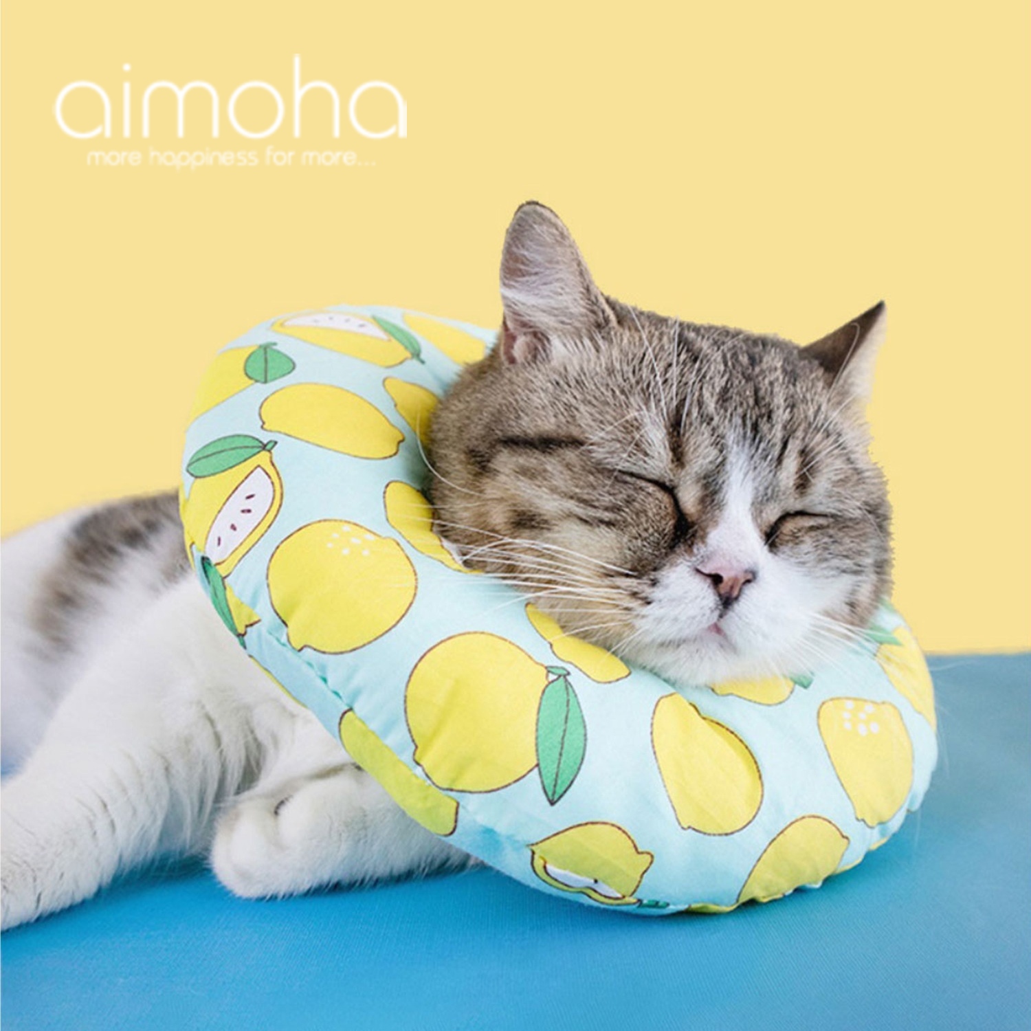 楽天市場 ネコ エリザベス カラー 犬 猫 ペット 円形 ドーナツ型 かわいい 映え ふわふわ 柔らかポリエステル 首 プロテクター 衣装 傷なめ防止 とっても可愛いペット用エリザべスカラー Aimoha