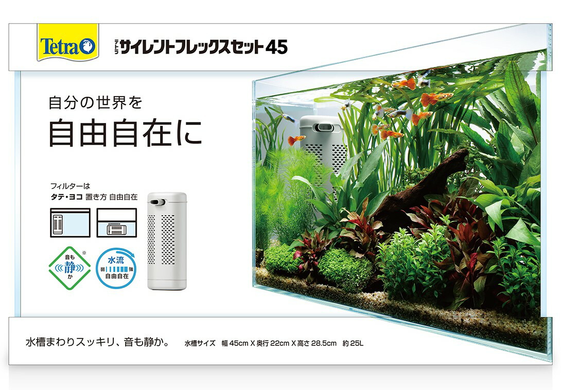 GEX ジェックス カメ元気 沖縄 税込11,000円以上で送料無料 一部地方除く 北海道 かんたん飼育セット ST