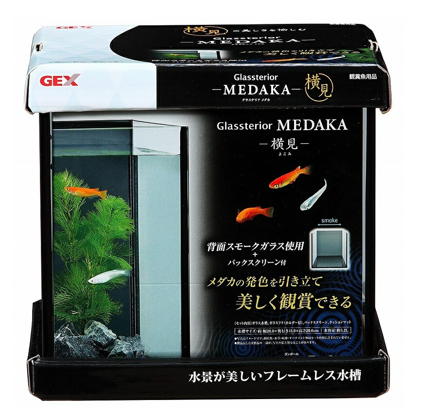 楽天市場】GEX(ジェックス) カメ元気 かんたん飼育セット ST : アイム