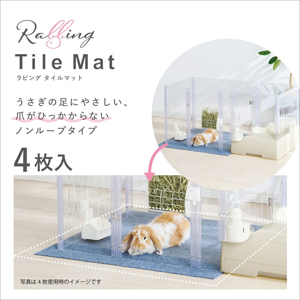 GEX　ラビング クリアメゾン　120 楽天市場】GEX ラビング クリアメゾン 120 関東当日便