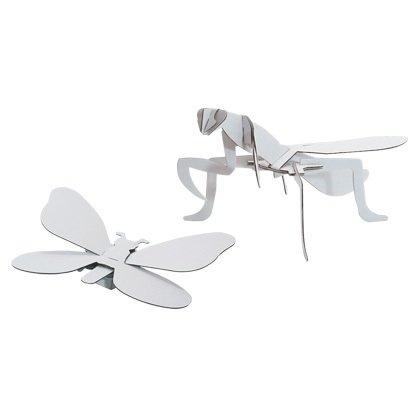 楽天市場】昆虫の標本 シャムオオキバノコギリカミキリ Dorysthenes