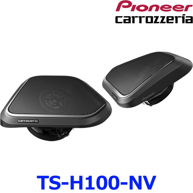 ts-h100-nv_01.jpg