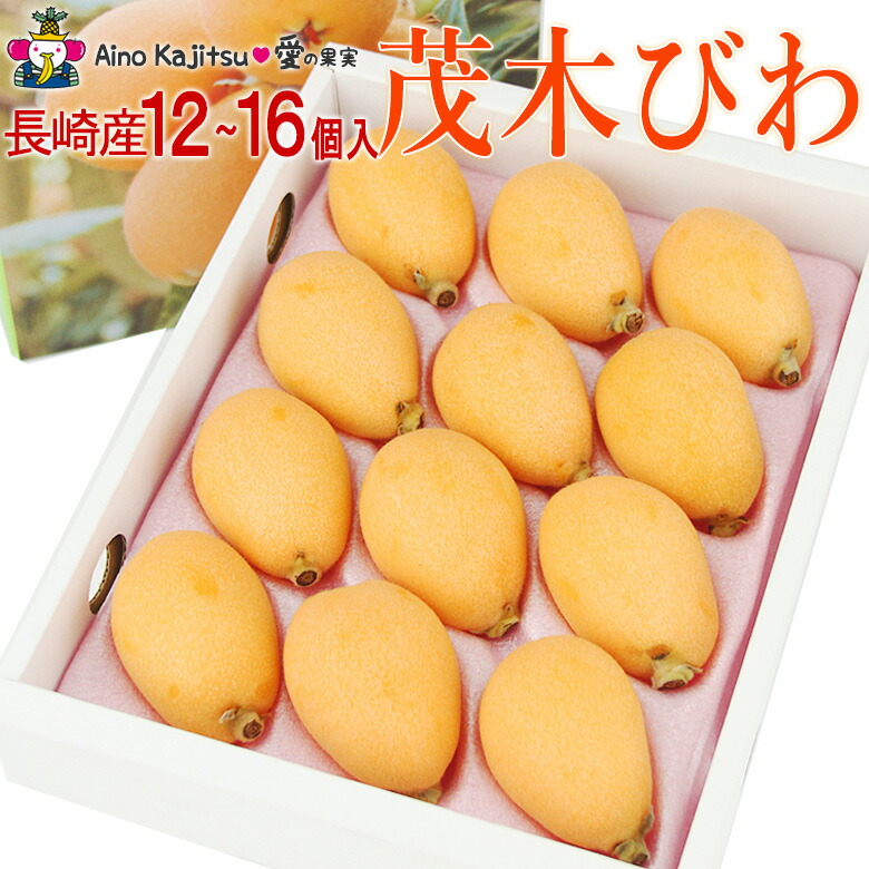 茂木びわ(長崎産) Mサイズ～ 甘い ギフト 枇杷 ビワ フルーツ ギフト お中元 夏ギフト 父の日 詰め合わせ プレゼント 手土産 お誕生日 お祝い 内祝い 出産内祝い 婚礼内祝い 贈り物 お礼 御見舞 退院祝い 快気祝い 景品 果物 お返し お供え お供え物 法事 法要