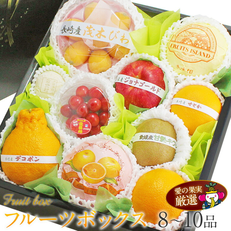 季節の フルーツ ボックス(茂木びわ さくらんぼ入り）佐藤錦or紅秀峰 フルーツ ギフト お中元 夏ギフト セット 父の日 詰め合わせ 盛り合わせ プレゼント 手土産 お誕生日 お祝い 内祝い 出産内祝い 婚礼内祝い 贈り物 お礼 御見舞 退院祝い 果物 くだもの お供え 御供