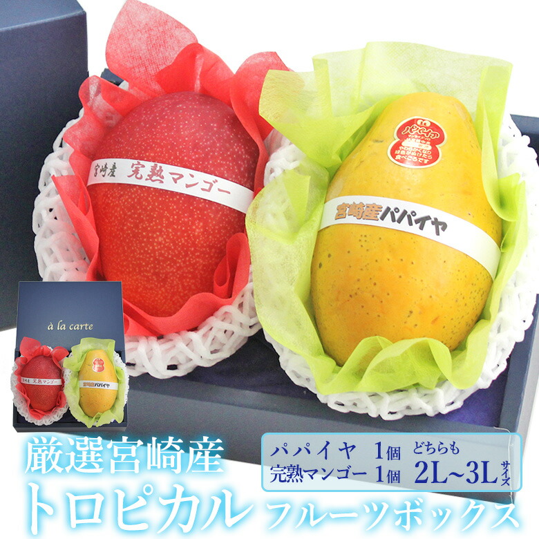 厳選 国産 トロピカル フルーツボックス 完熟マンゴー パパイヤ (2L～3Lサイズ）宮崎産 パパイヤ 宮崎マンゴー フルーツ ギフト お中元 夏ギフト 父の日 詰め合わせ プレゼント 手土産 お誕生日 お祝い 内祝い 出産内祝い 贈り物 お礼 御見舞 果物 お返し お供え お供え物