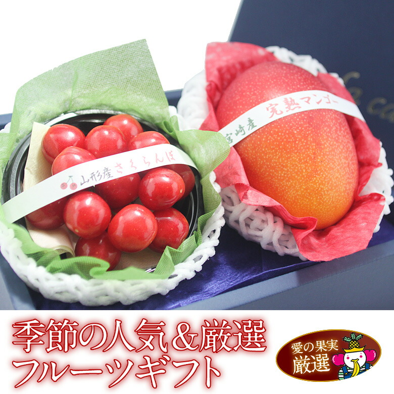 季節の人気＆厳選 フルーツ ギフト (紅秀峰または佐藤錦 高級さくらんぼ (約100ｇ) 国産完熟マンゴー (糖度13度以上 Ｌ～2Ｌサイズ) 父の日 詰め合わせ プレゼント 手土産 お誕生日 お祝い 内祝い 出産内祝い 贈り物 お礼 御見舞 退院祝い 快気祝い 果物 お返し お供え