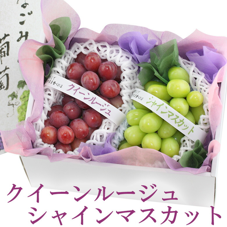 ファッション 通販食品・飲料・酒 - たんぽこ様 専用商品 りんご