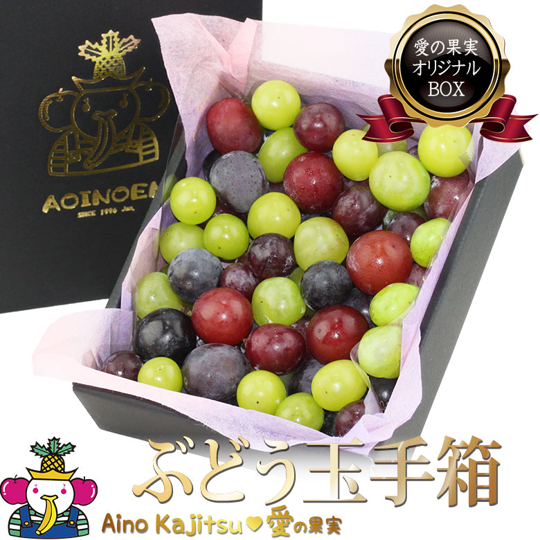 フルーツ ギフト 果物 詰め合わせ お供え 法事 お誕生日 お祝い 内祝い お見舞い シャインマスカット 巨峰【ぶどう玉手箱 ミックス（950g以上) 】ナガノパープル クイーンルージュ プレゼント 手土産 御祝い 出産内祝い 婚礼内祝い 贈り物 お礼 退院祝い 快気祝い お返し｜愛の果実　店