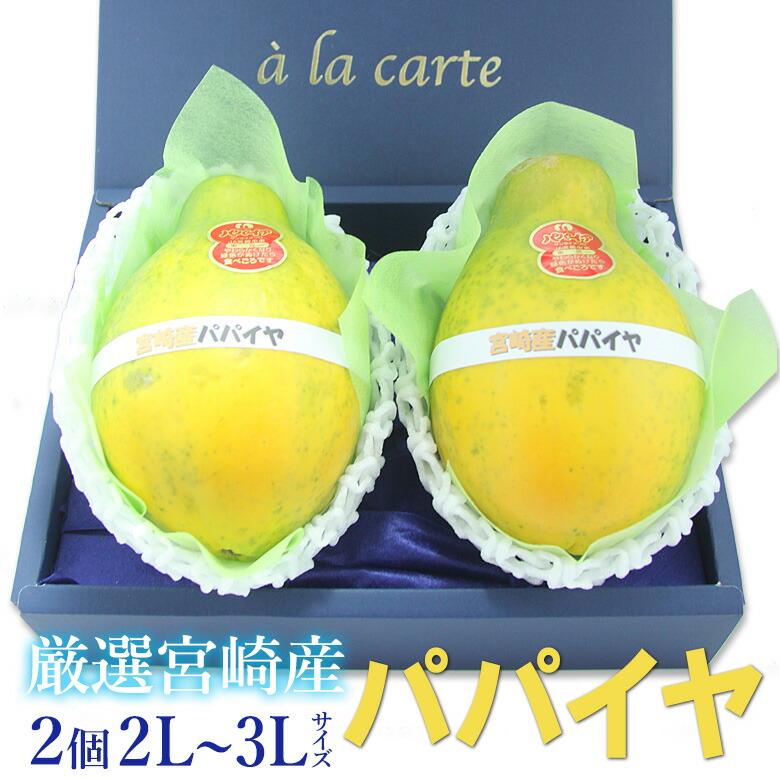 厳選 国産パパイヤ（2個入 2L～3Lサイズ）宮崎産パパイヤ フルーツ ギフト お中元 夏ギフト 父の日 プレゼント 手土産 お誕生日 お祝い 御祝い 内祝い 出産内祝い 婚礼内祝い 贈り物 お礼 御見舞 お見舞い 退院祝い 景品 果物 お返し お供え お供え物 法事 法要 四十九日