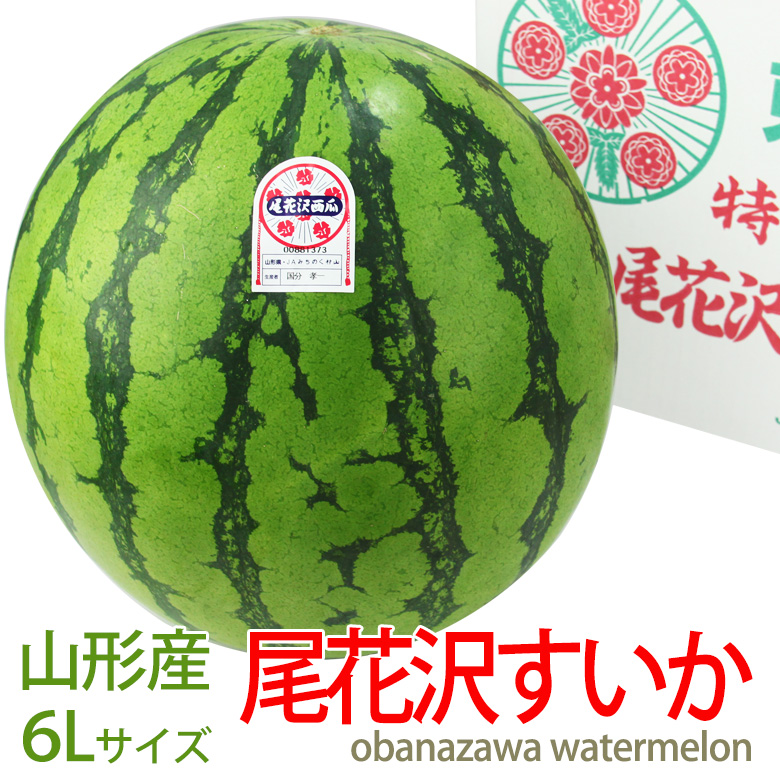 福袋セール値下げの10ｋｇ以上 特大 送料込 あまい 1玉入 すいか 西瓜 たんじょうび お祝 手土産 お供え スイカ 初七日 簡易包装 お返し プレゼント 尾花沢 6lサイズ 山形県産 誕生日 お礼 ギフト 贈り物 新盆 お供え お供え物 お返し 敬老の日 暑中