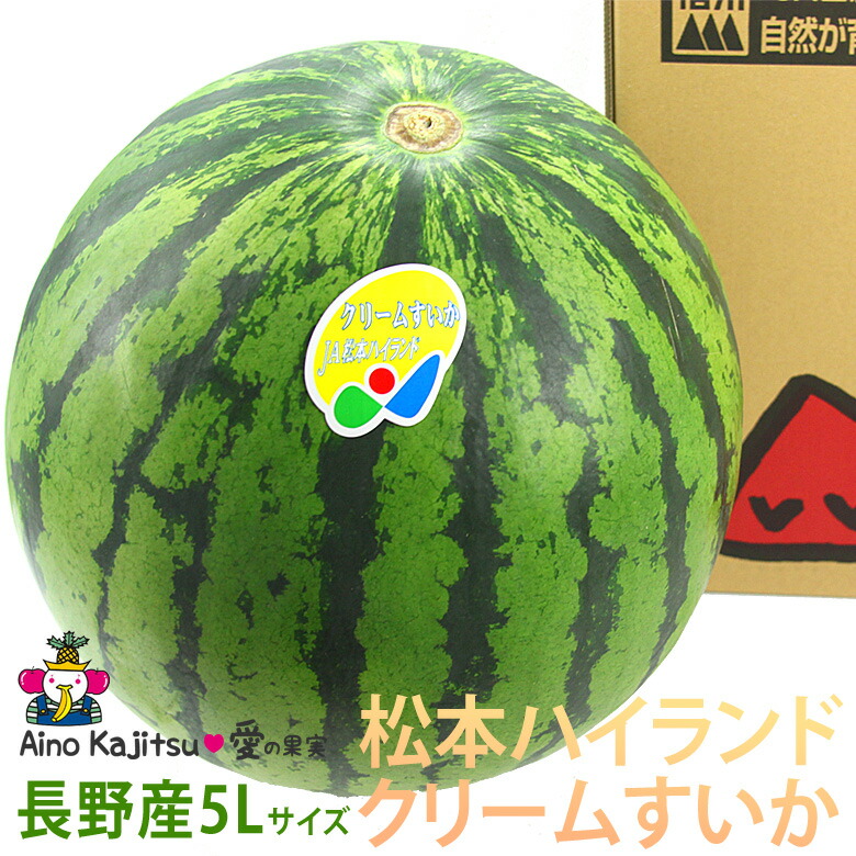 楽天市場 送料込 松本ハイランド クリーム 西瓜 すいか 5l特大サイズ 黄すいか 長野産 10ｋｇ以上 プレゼント 手土産 誕生日 スイカ お礼 フルーツ 果物 内祝い お供え お悔やみ お悔み ギフト 贈り物 お供え物 お返し お彼岸 愛の果実 楽天市場店