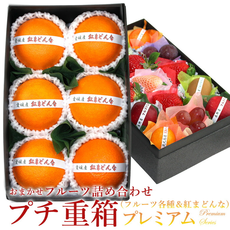 楽天市場 送料込 プチ重箱プレミアム Fpj 3 プチフルーツ15個 紅まどんな6個 みかん Orange 蜜柑 詰め合わせ プレゼント 内祝い 誕生日 お供 お礼 快気祝い お祝い お供え 果物 くだもの ギフト 贈り物 プチギフト お返し お彼岸 愛の果実 楽天市場店