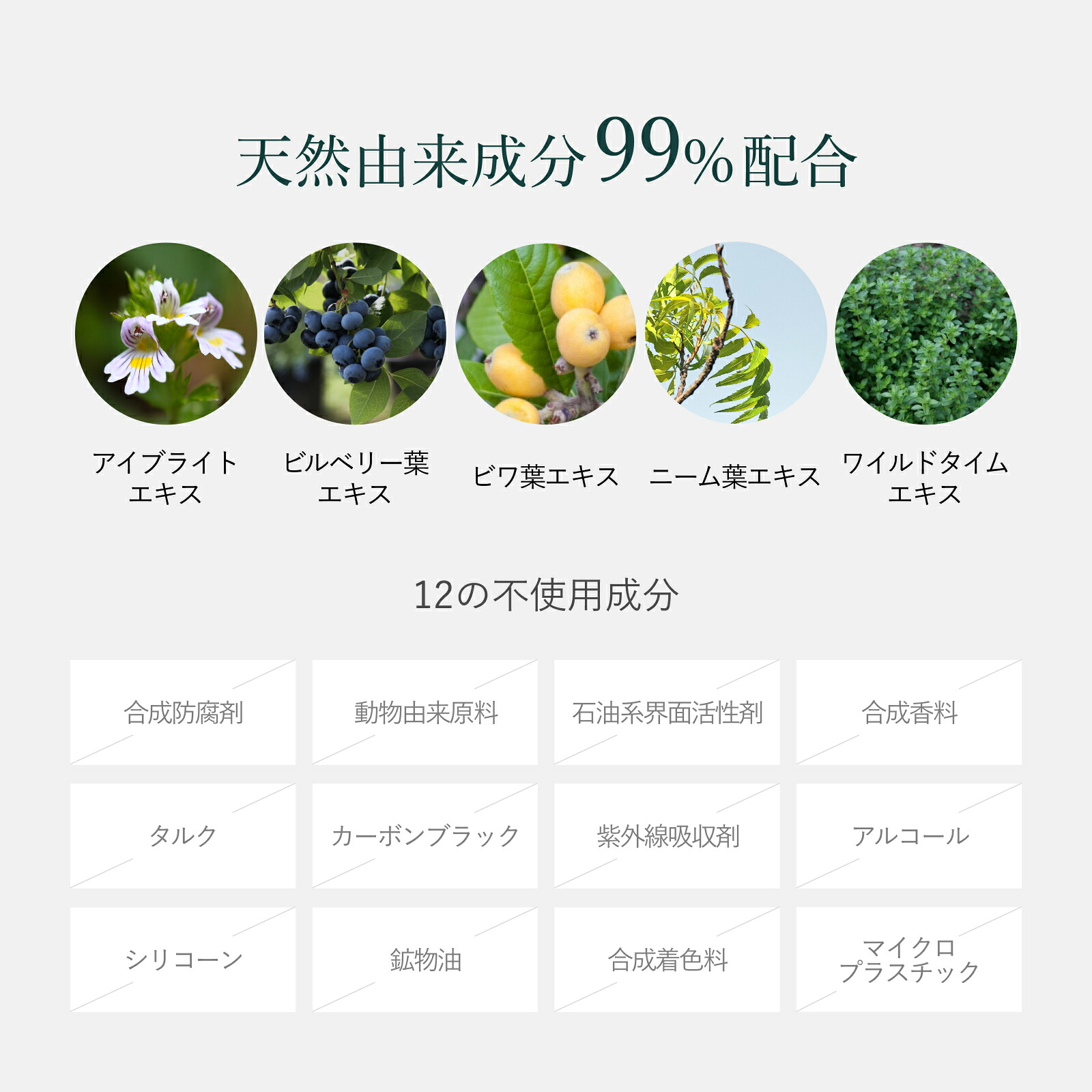 【 まつ毛美容液 】マスカラベース マスカラ下地 お湯オフ 楽天ランキング1位 マツエクOK まつ毛パーマOK ダマにならない クリア 透明 フィルムタイプ カールアップ カールキープ ビューラー不要 ダメージケア 朝夜兼用 楽天ランキング1位