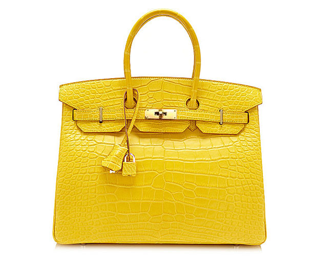 Jewel Aimas 35 Hermes Birkin Mimosa Alligator Mat Gold Metal 35 Hermes Birkin Mimosa Alligator Mat Gold Metal Ings Handbag Crocodile Yellow Bag
