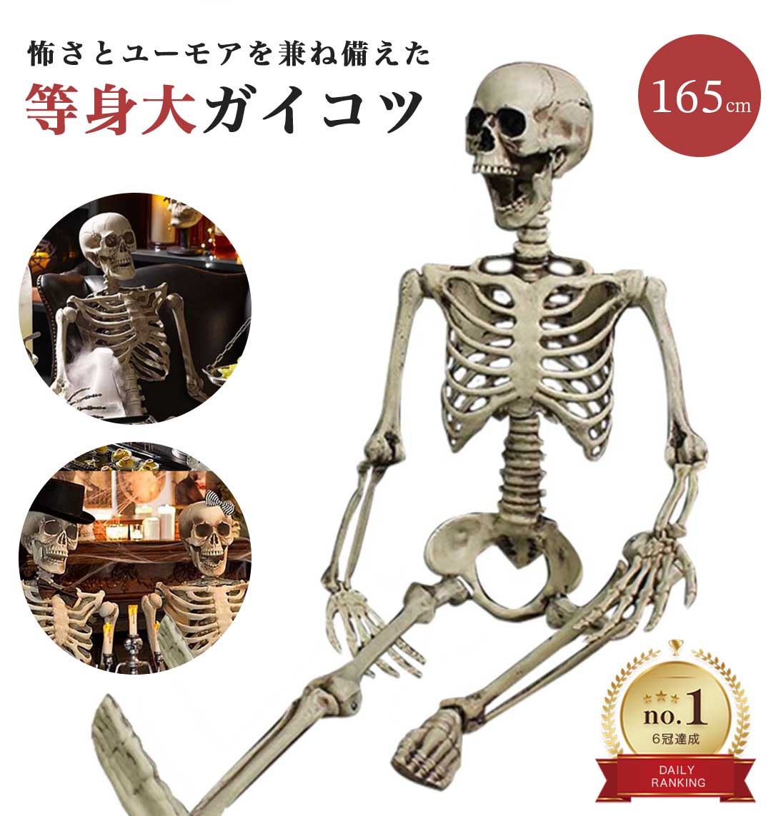【人気商品】 ドクロ 人体模型 骸骨 ガイコツ 骨 等身大 置物 約165cm ホラー リアル 本格的 誕生日 飾り付け 室内 置物 人形 仮装 怖い 恐怖 スケルトン ホームパーティ 骨 ボーン 渋い かわいい クリスマス