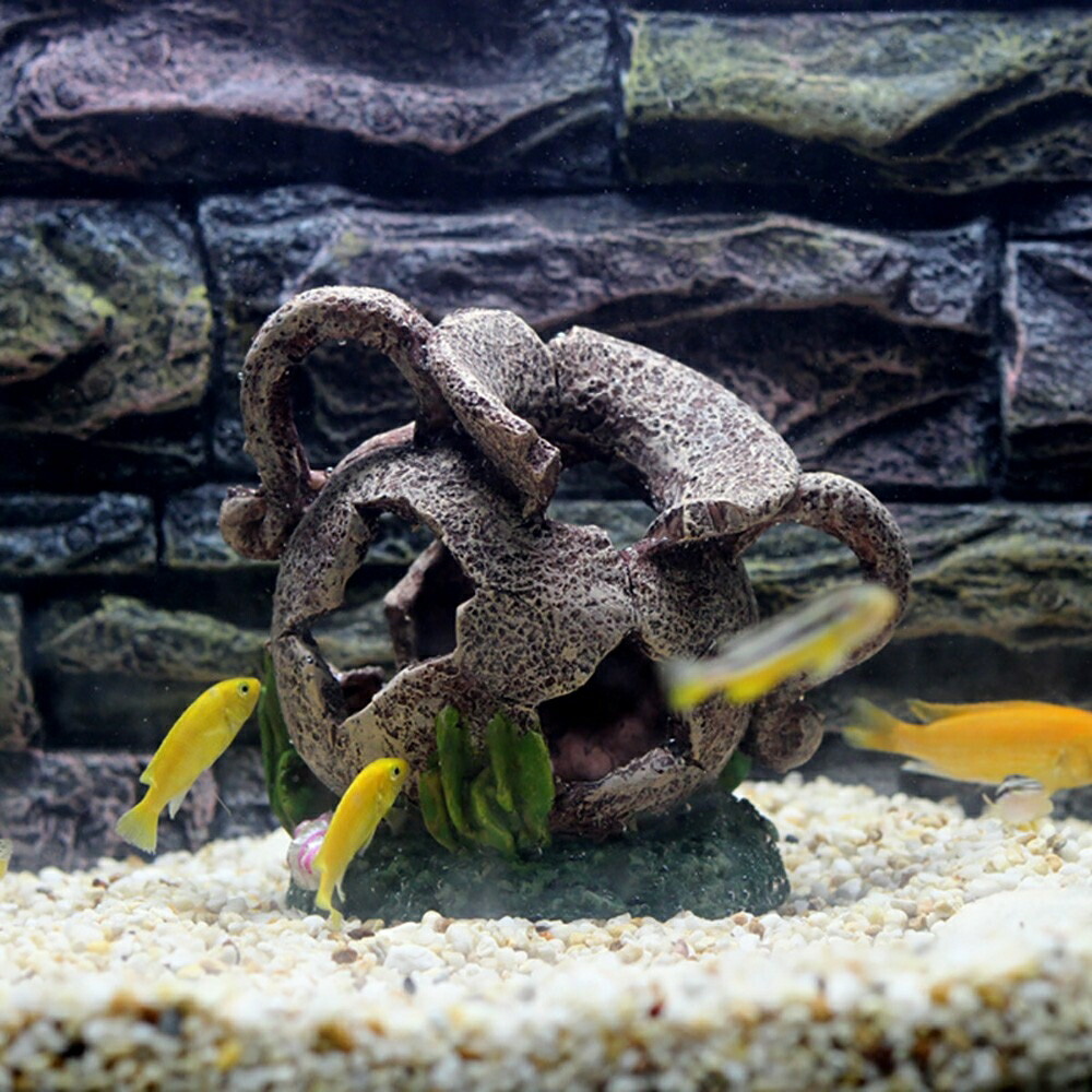 国内外の人気 アクアリウム 割れた壺 壷 ツボ オブジェ 水槽 置物 インテリア 熱帯魚 魚 熱帯雨林 海水魚 淡水魚 ネオンテトラ グッピー エンゼルフィッシュ ピラルク アロワナ 水族館 アクアリウムデコレーション 水槽内インテリア 水槽用品 国内外の人気 アクアリウム 割れた壺 壷 ツボ オブジェ 水槽 置物 インテリア 熱帯魚 魚 熱帯雨林 海水魚 淡水魚 ネオンテトラ グッピー エンゼルフィッシュ ピラルク アロワナ 水族館 アクアリウムデコレーション 水槽内インテリア 水槽用品