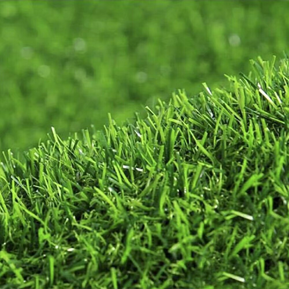 人工芝 リアル 芝生 庭 ベランダ テラス 人工芝生 リアル人工芝 マット ガーデニング ガーデン ガーデンエクステリア 芝生マット サッカー ゴルフ ゴルファー リフォーム おしゃれ 防音マット 屋外 ガーデン 玄関 バルコニー Ekushe News24 Com