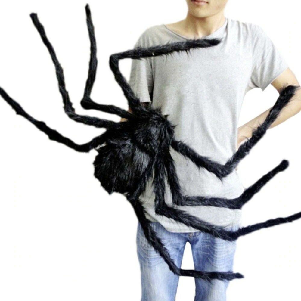 楽天市場】ZOYUBS 黒蜘蛛 クモ スパイダー 巨大 ハロウィン