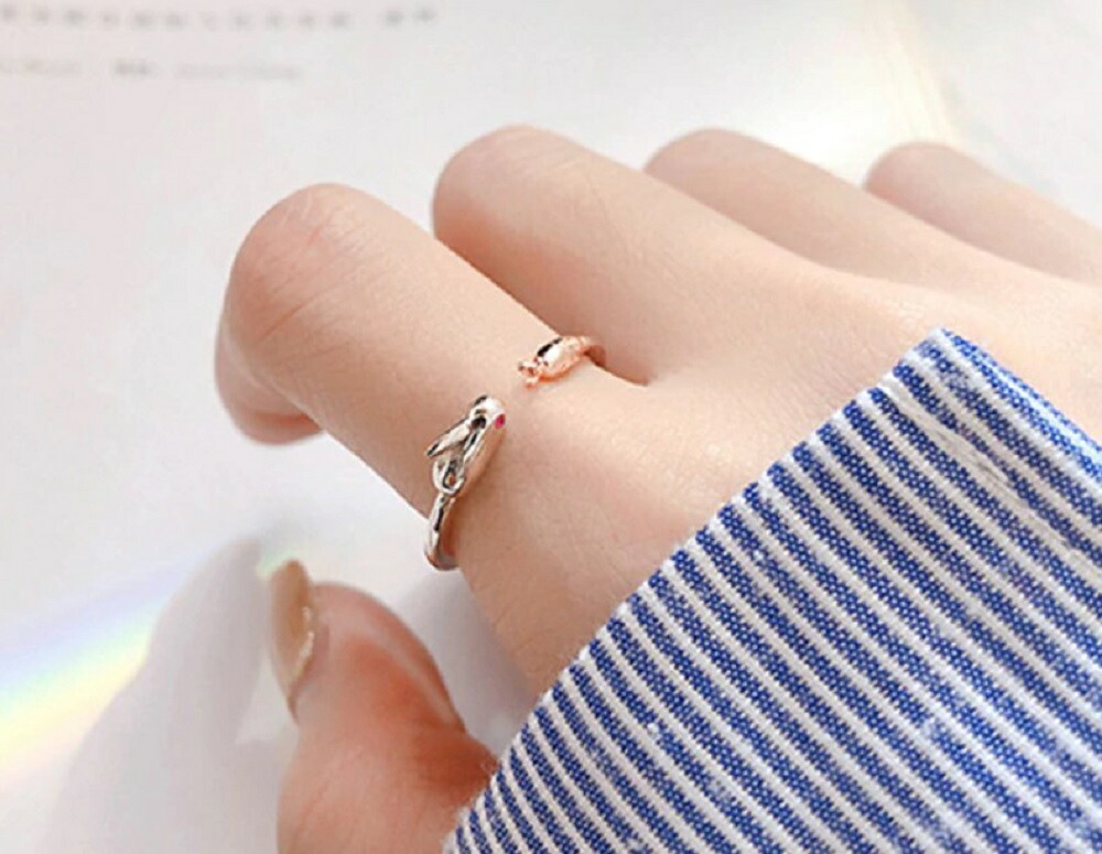 ウサギとニンジン 指輪 ウサギ ラビット Rabbit ウサちゃん 兎 うさぎ リング ウサギ指輪 ウサギリング 動物モチーフ 女性 男性 プレゼント アニマル リング お洒落 オシャレ アフリカ サバンナ 大自然 Crunchusers Com