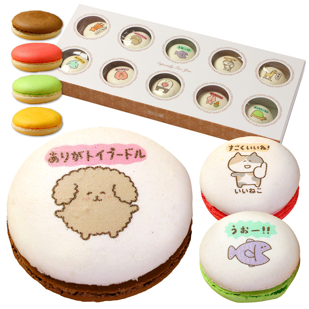 KinKi Kidsマカロンデザイン トラベルウォッチ 15セット マカロン30個入（30種類） / 愛知県高浜市 | セゾンのふるさと納税