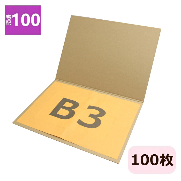ダンボール板 B3 (540×400×3mm) 100枚 日本製 ダンボールシート 写真 B3サイズ 2つ折 段ボール板 ビジュアルボード 発送 薄型 100サイズ 梱包 梱包資材 梱包材 ダンボールパッド フォト 保管 ポスター 台紙 工作用 シート B3 宅配100