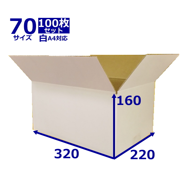 限定価格セール ダンボール箱 70 80サイズ ホワイト 無地ケース 薄型素材 収納 引っ越し 引越し 宅配 発送用 フリマアプリ オークション ネットショップ 小物用 通販用 梱包用 段ボール 日本製 送料無料 無地 100枚 アパレル 3 2 160 白 対応 70サイズ白