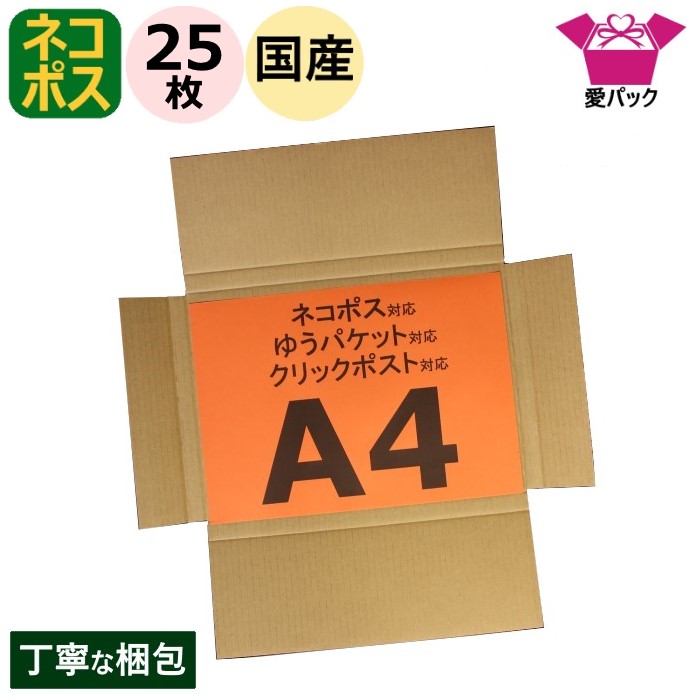 【新鮮】ボンバックス　自家採取種子　20粒　ネコポス発送 BMP産）プセウド ボンバックス Pseudo bombax ellipticum 鉢付き