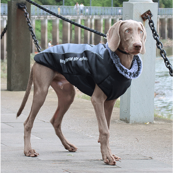 犬服 冬 コート ジャケット ドッグウェア ベスト 中型犬 厚手 大きいサイズ 大型犬 撥水 暖かい 犬用コート 胴回り調節中綿 軽量 送料無料 防寒対策 防寒着 首回り調節 高質 中型犬