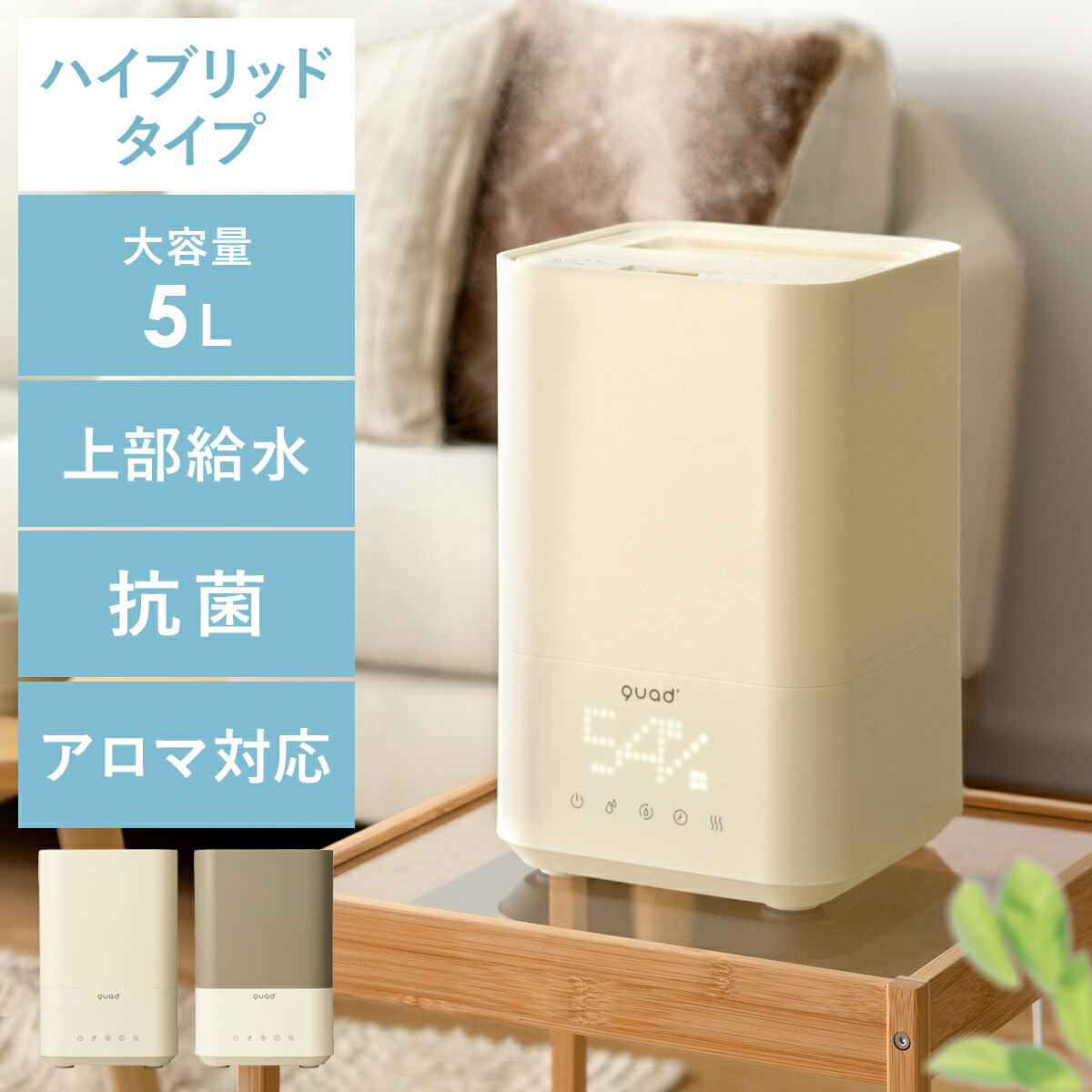 雨季打つ手品目特集