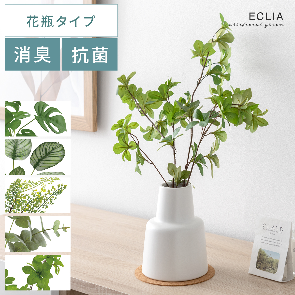 楽天市場】【30％OFFクーポン配布中】 観葉植物 多肉植物 おしゃれ