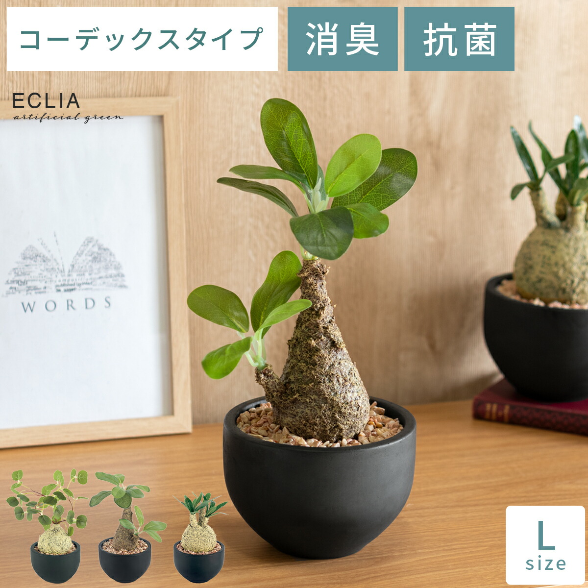 楽天市場】【最大1,500円OFFクーポン配布中】 光触媒 観葉植物 楽天市場】【最大1,500円OFFクーポン配布中】 光触媒 観葉植物