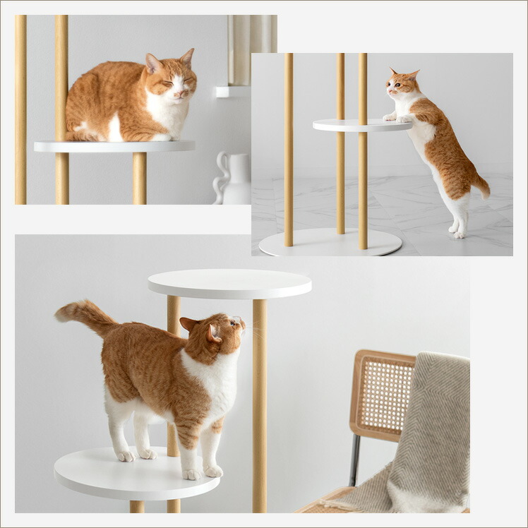 【1日限定!全品7%OFFクーポン配布中】 キャットタワー 木製 据え置き 多頭飼い スリム 大型猫 猫 省スペース 猫タワー 置き型 猫用 キャット ツリー タワー 猫用品 遊び道具 ベット用 室内 北欧 インテリア シンプル キャットツリー Leap〔リープ〕