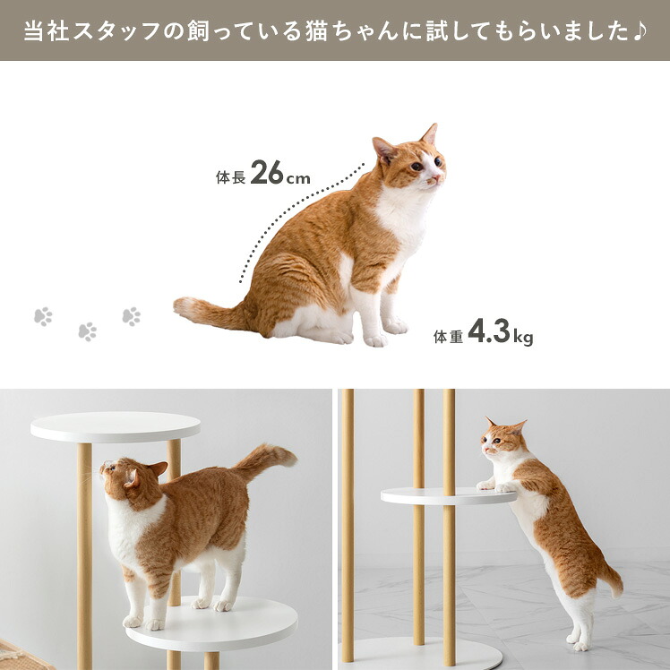 【1日限定!全品7%OFFクーポン配布中】 キャットタワー 木製 据え置き 多頭飼い スリム 大型猫 猫 省スペース 猫タワー 置き型 猫用 キャット ツリー タワー 猫用品 遊び道具 ベット用 室内 北欧 インテリア シンプル キャットツリー Leap〔リープ〕