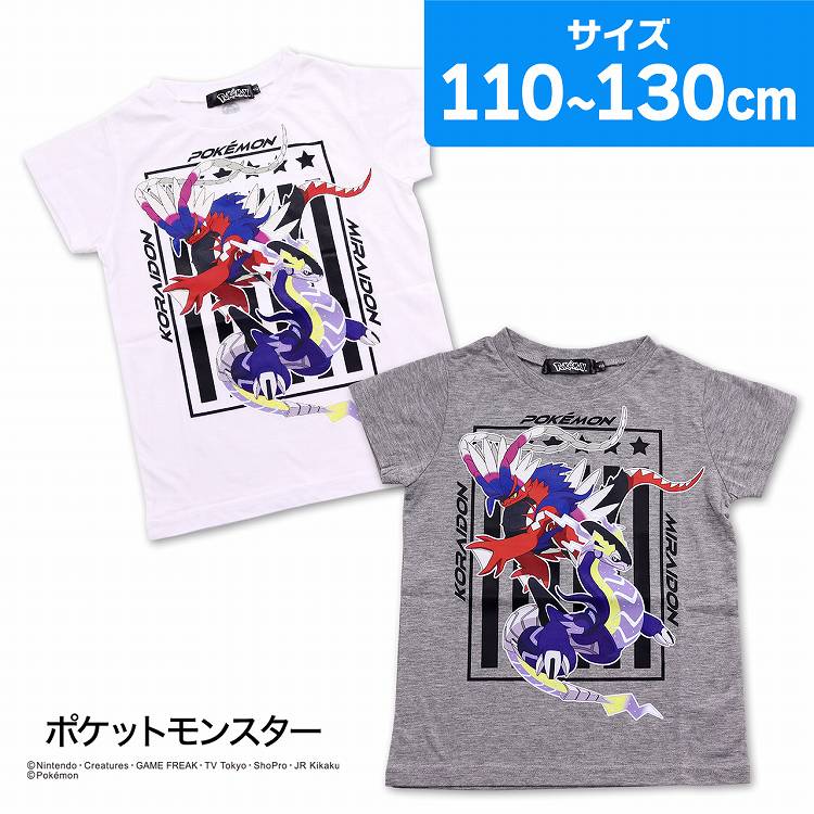 【楽天市場】ポケモン Tシャツ キッズ コライドン ミライドン