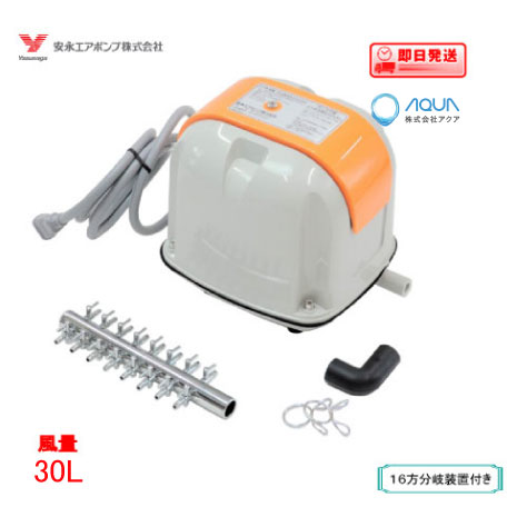 初回限定お試し価格 安永エアポンプ Ap 30p 8方分岐装置付き 安永 浄化槽エアーポンプ ブロワー フィルター ポンプ ろ材