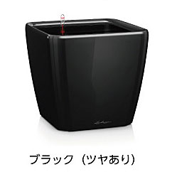 【松尾営利主義】レチューザプレミアム クアドロ・ジョーカー21(漆色つや：黒いこと)根もと灌水書き割り付き添い人 幅21×奥ふかさ21×高さ20珊 LE-2021AJ-B【インポートプランター ＦＲＧ製 今めかしい 旅人宿 水のやり過ぎ押しとどめる 水やり発生率押さえる 長日月水やり不必要 屋内 室内】