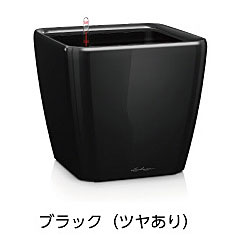 【松尾取り引き】レチューザプレミアム クアドロ・ジョーカー43(漆色つや：黒いこと)根もと灌水仕掛ける付き添い人 幅43×奥ぶかさ43×高さ40糎 LE-2043AJ-B【インポートプランター ＦＲＧ製 今めかしい 泊まり 水のやり過ぎ押しとどめる 水やり出現率引き下げ 長い間水やり不必要 屋内 室内】