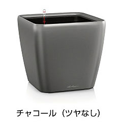 【松尾取り引き】レチューザプレミアム クアドロ・ジョーカー43(つや消し色つや：濃灰色)根もと灌水仕掛ける付き添い人 幅43×奥ぶかさ43×高さ40糎 LE-2043AJ-C【インポートプランター ＦＲＧ製 今めかしい 泊まり 水のやり過ぎ押しとどめる 水やり出現率引き下げ 長い間水やり不必要 室外 屋内 室内】