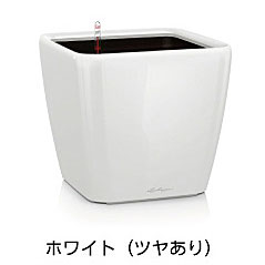 【松尾取り引き】レチューザプレミアム クアドロ・ジョーカー43(漆色つや：白いこと)根もと灌水仕掛ける付き添い人 幅43×奥ぶかさ43×高さ40糎 LE-2043AJ-W【インポートプランター ＦＲＧ製 今めかしい 泊まり 水のやり過ぎ押しとどめる 水やり出現率引き下げ 長い間水やり不必要 屋内 室内】