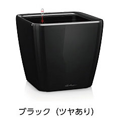 【松尾貿易】レチューザプレミアム クアドロ・ジョーカー50(ラッカーカラー：ブラック)底面灌水セット付き 幅50×奥行50×高さ47cm LE-2050AJ-B【輸入プランター ドイツ製 おしゃれ ホテル 水のやり過ぎ防止 水やり回数削減 長期間水やり不要 屋内 室内】