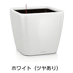 【松尾商業主義】レチューザプレミアム クアドロ・ジョーカー50(漆色合い：白いこと)根もと灌水仕掛ける付き添い人 幅50×奥ふかさ50×高さ47糎 LE-2050AJ-W【インポートプランター ＦＲＧ製 かっこ良い 泊まり 水のやり過ぎ押しとどめる 水やり発生率押さえる 長日月水やり不必要 屋内 室内】 ガーデニング・農業-植木鉢・プランター-プランター