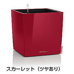 【松尾取り引き】レチューザプレミアム 正六面体・割り増し金40(漆色つや：スカーレット)根もと灌水仕掛ける付き添い人 幅40×奥ぶかさ40×高さ40糎 LE-3440K-1【インポートプランター ＦＲＧ製 今めかしい 泊まり 水のやり過ぎ押しとどめる 水やり出現率引き下げ 長い間水やり不必要 屋内 室内】
