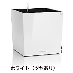 【松尾取り引き】レチューザプレミアム 正六面体・割り増し金40(漆色つや：白いこと)根もと灌水仕掛ける付き添い人 幅40×奥ぶかさ40×高さ40糎 LE-3440W-1【インポートプランター ＦＲＧ製 今めかしい 泊まり 水のやり過ぎ押しとどめる 水やり出現率引き下げ 長い間水やり不必要 屋内 室内】
