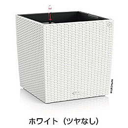 【松尾取り引き】レチューザエコノミー コテージ・正六面体(色つや：白いこと)根もと灌水仕掛ける付き添い人 幅40×奥ぶかさ40×高さ40糎 LE-6440W【インポートプランター 今めかしい 泊まり 網目完成 露台 水のやり過ぎ押しとどめる 水やり出現率引き下げ 長い間水やり不必要 室外 屋内 室内】