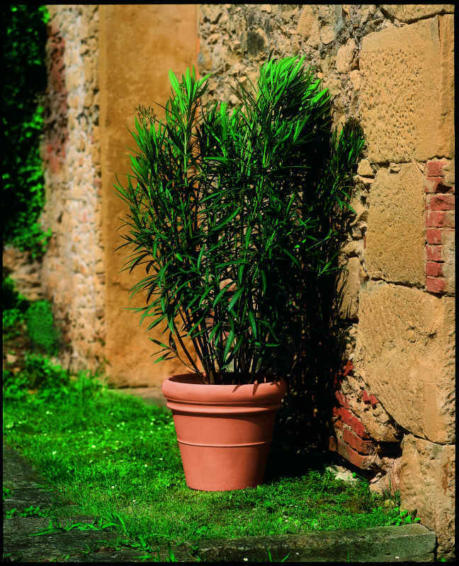 大型プランター ドッピオ ボルド 直径75cmタイプ 大型プランター プラスチック製プランター プランター 大型プラスチック製プランター 大型プランター プラスチック製 Bla Org Bw